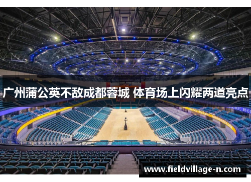 广州蒲公英不敌成都蓉城 体育场上闪耀两道亮点
