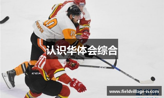 认识华体会综合